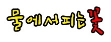 물에서 피는 꽃