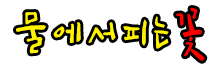 물에서 피는 꽃 메인